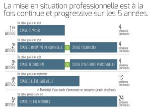 Mise en situation professionnelle